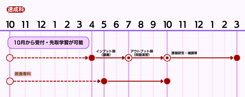 講座内容⑧速成科スケジュール